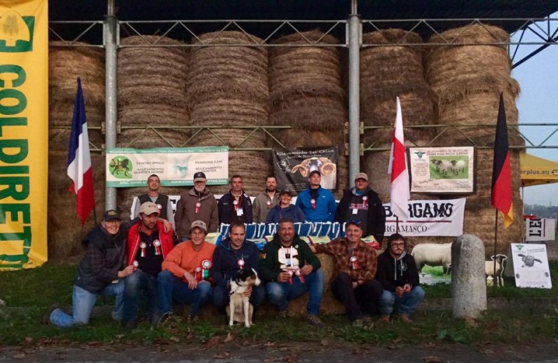 Treviglio: gli “International Sheepdog Trial Open” nei campi di Badalasco