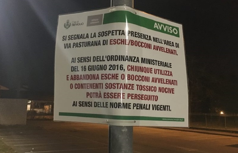 Treviglio: Bocconi avvelenati nelle aree cani. Scatta l’allarme in Geromina – TreviglioTV