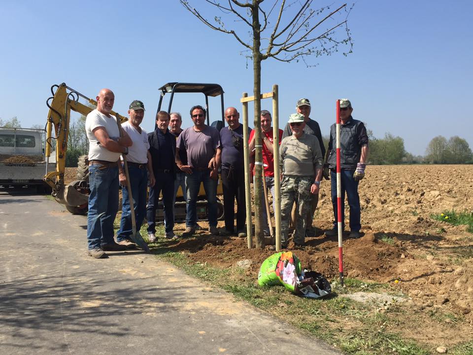 Arrivano 15 aceri per completare il viale del santuario – TreviglioTV