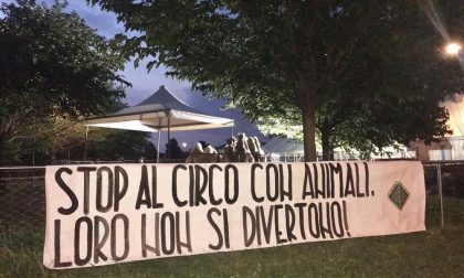 Romano: arriva il circo, protesta il gruppo animalista di CasaPound - TreviglioTv
