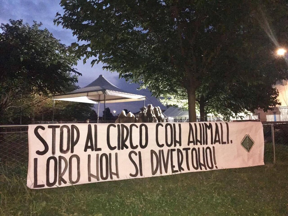 Romano: arriva il circo, protesta il gruppo animalista di CasaPound – TreviglioTv