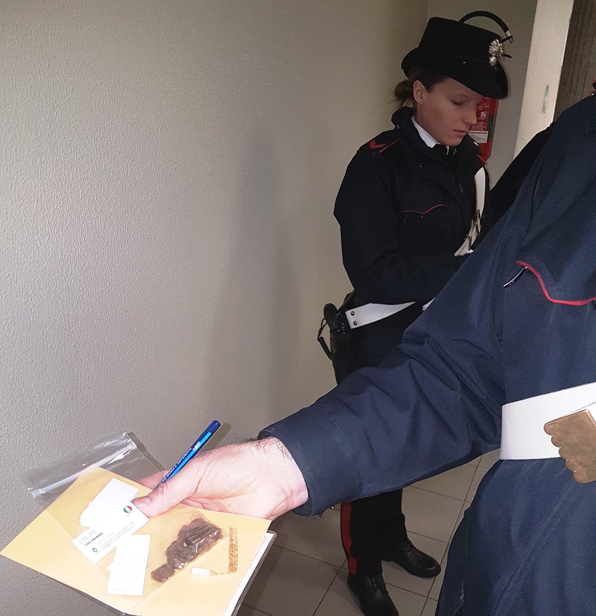 Treviglio : Retata anti-droga a scuola, due 15enni trovati con hashish dalle unità cinofile. – Treviglio TV