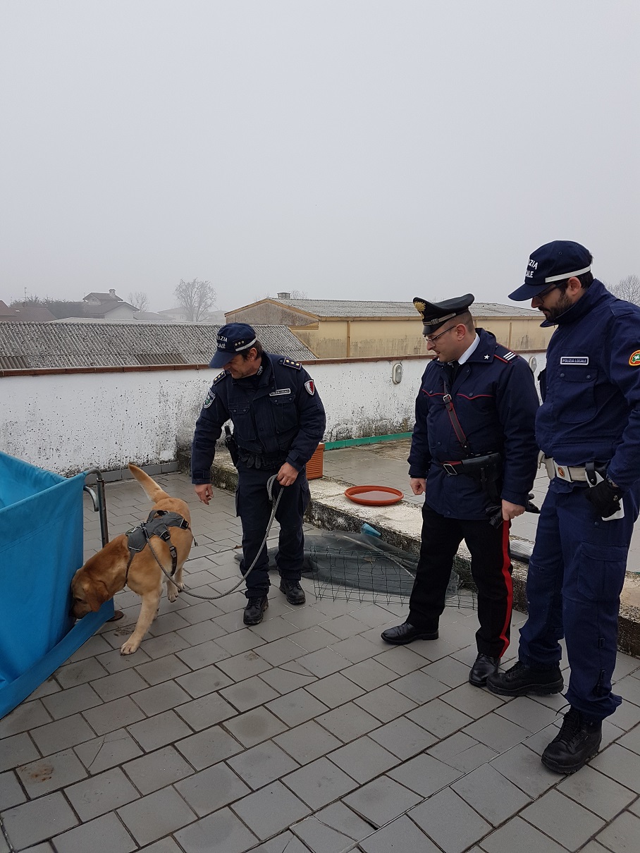 Arcene – Sequestrati sette chili di hashish, in manette un’italiana 40enne – TreviglioTV