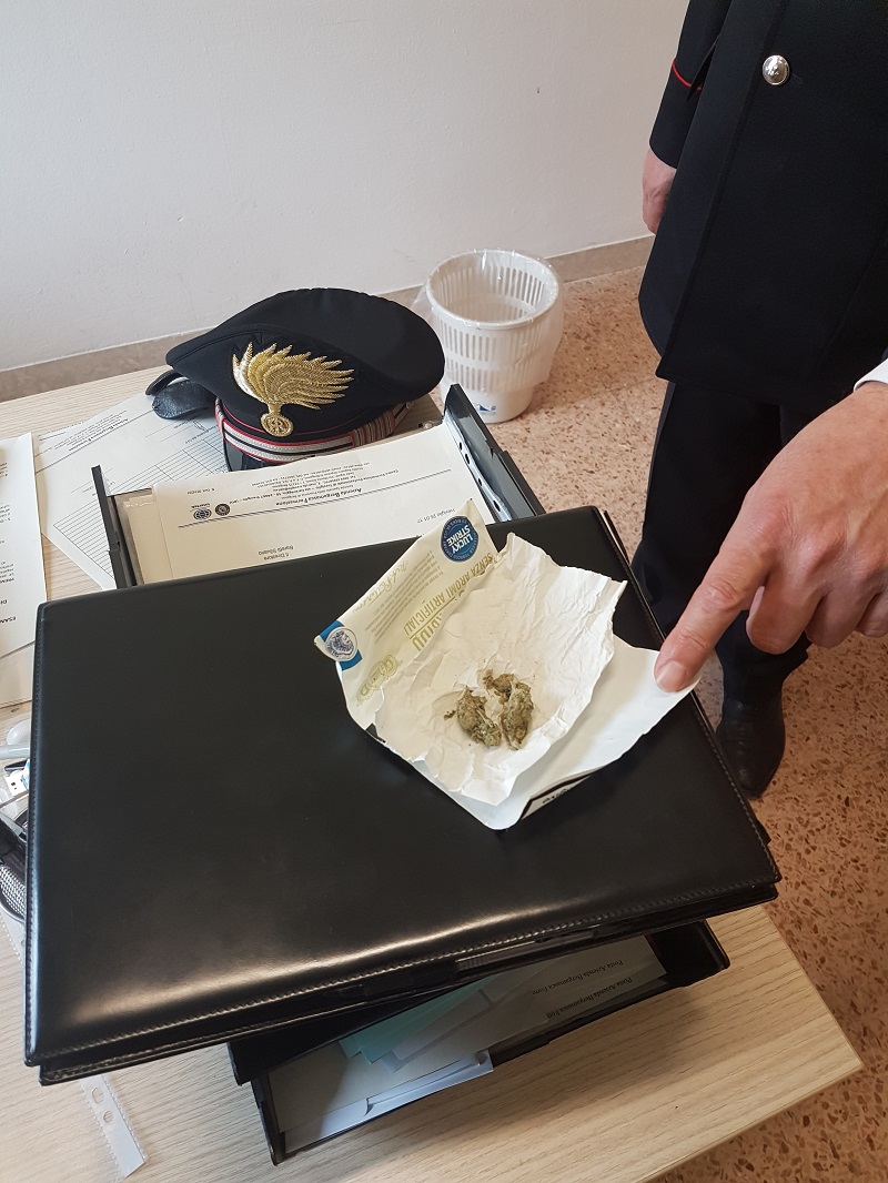 Controlli antidroga nelle scuole, beccati quattro studenti – TreviglioTv