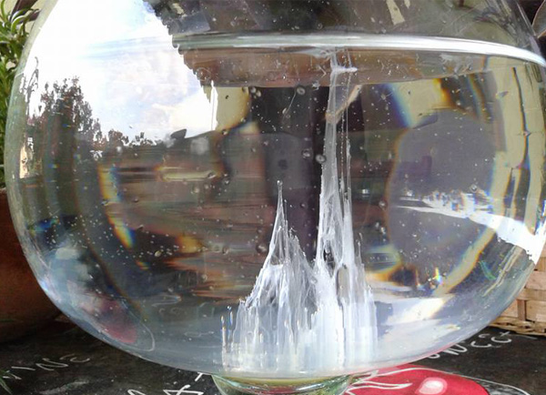 La barca di San Pietro è ancora in auge nella Bassa VIDEO