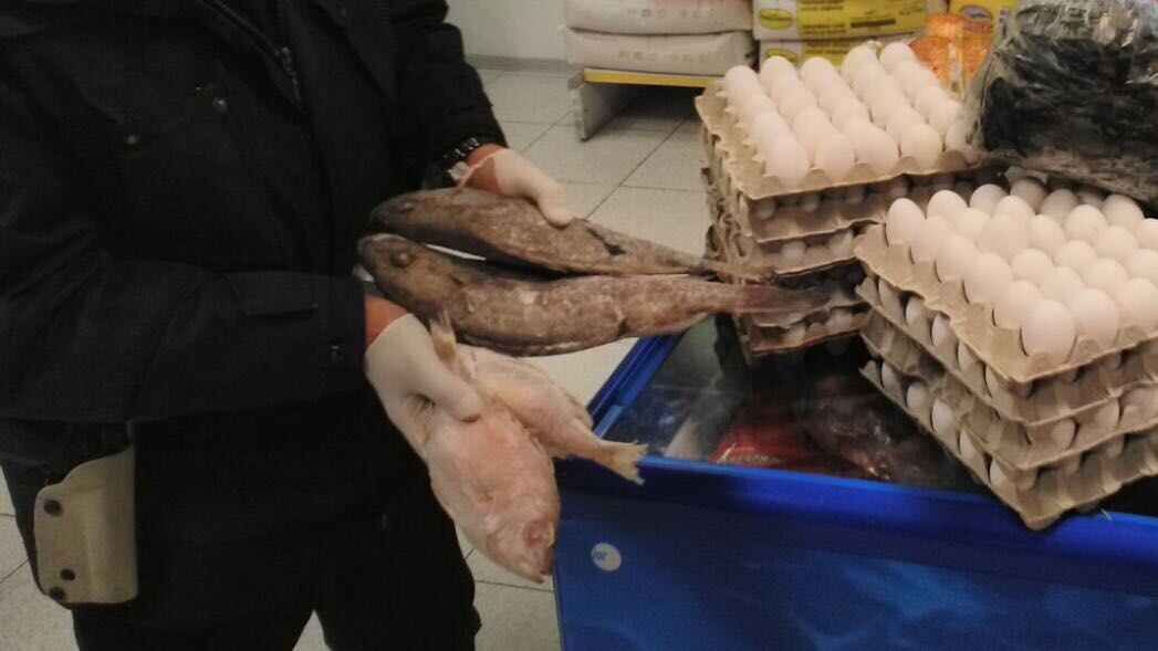 Romano: Irruzione in minimarket pakistano -Treviglio Tv