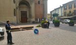 Api sciamano in piazza Manara, spettacolo pungente in pieno centro