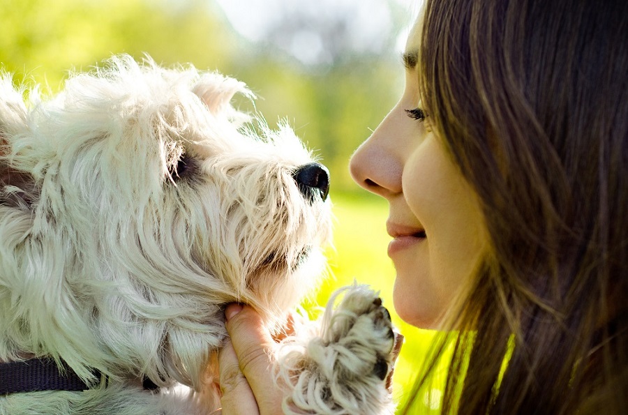 Gera d’Adda: Nasce a Rivolta il primo Sportello dei Diritti per gli animali – TreviglioTV