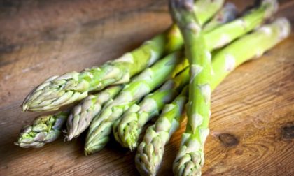 Al Serìt torna la "Sagra dell'asparago" - TreviglioTv