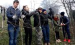 Gli studenti del Cantoni si prendono cura del vigneto didattico di Vaprio - TreviglioTV