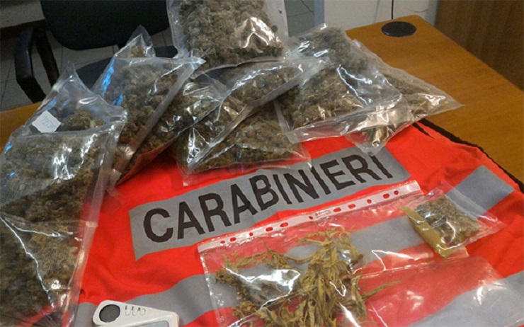 Rivolta : Serra di marijuana nel garage, arrestati marito e moglie