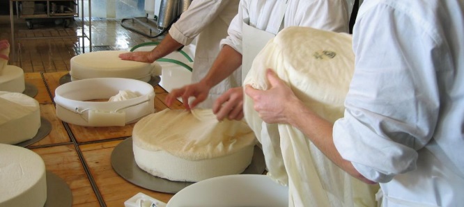 Un polo agroalimentare tutto Cremasco