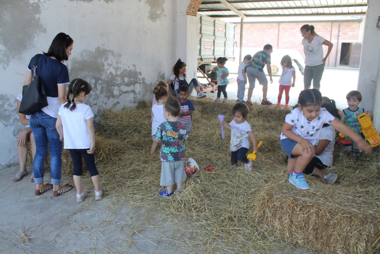 +FOTO+ Le famiglie del nido “Il Girasole” alla scoperta della cascina – TreviglioTv