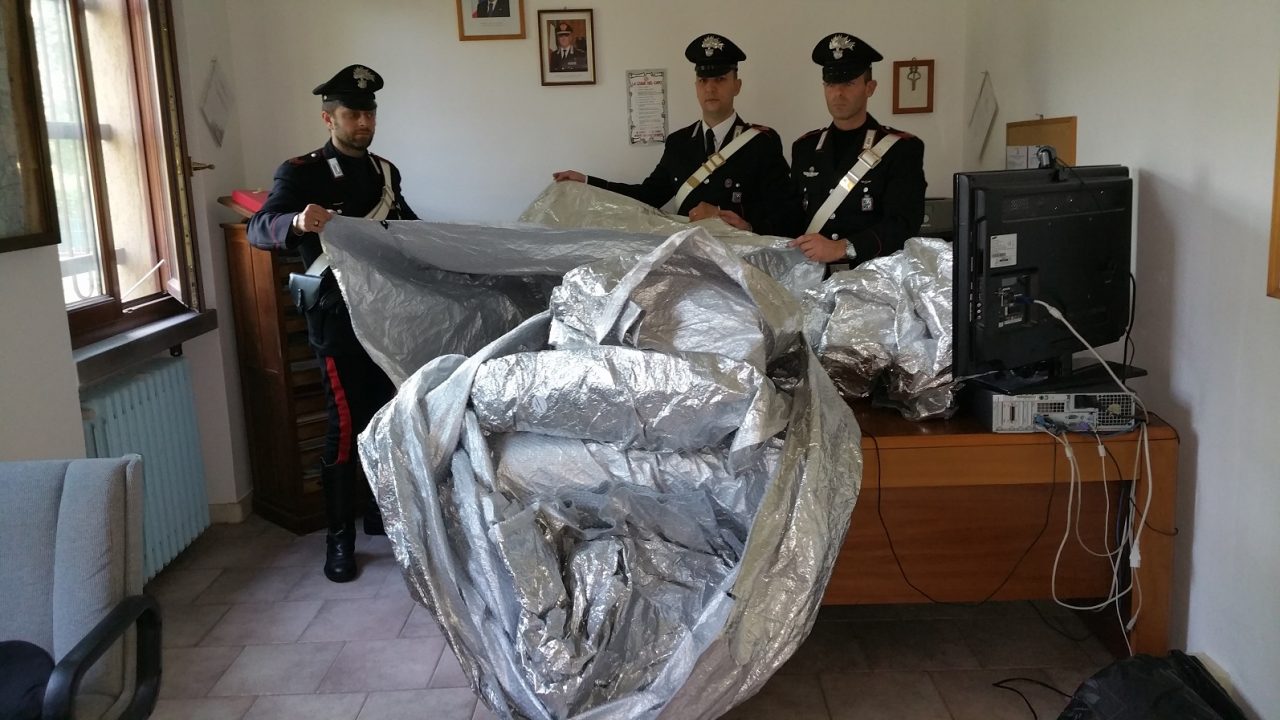 +FLASH+ Anziché spazzare, spazzolavano: arrestati sei addetti alle pulizie della Lidl – TreviglioTv
