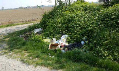 Martinengo: campagne invase dai rifiuti, la terra dei fuochi della Bassa - TreviglioTv