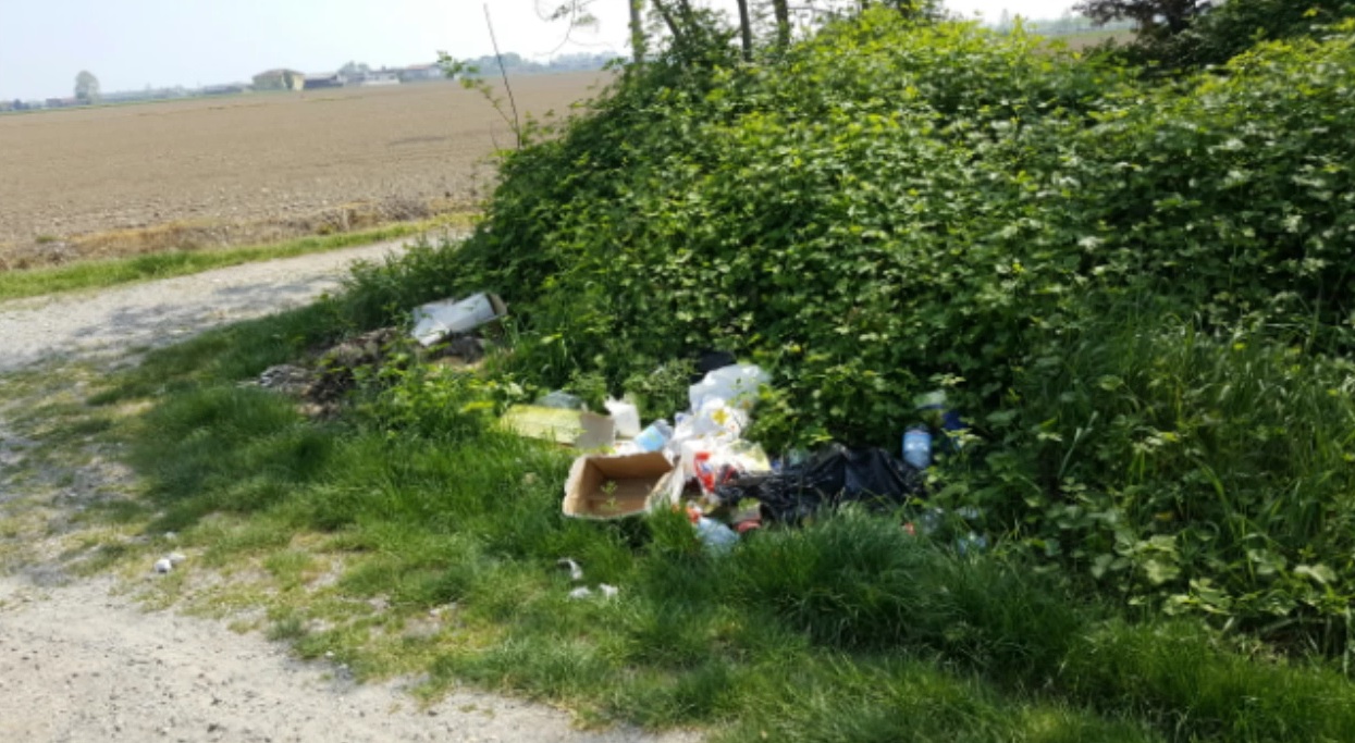 Martinengo: campagne invase dai rifiuti, la terra dei fuochi della Bassa – TreviglioTv