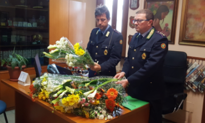 Romano: vendeva fiori illegalmente, arrestato pluripregiudicato -TreviglioTv