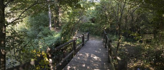 Treviglio – “Che pianta è?”, ci pensano gli amici del parco del Roccolo – TreviglioTv