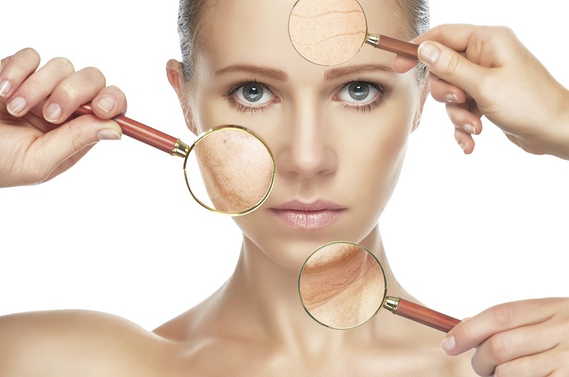 Skin day: in ospedale una mostra sulla pelle – TreviglioTv