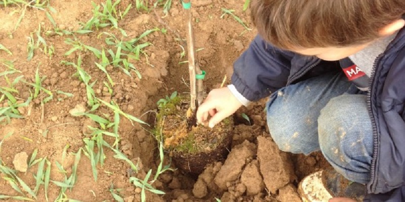 A Calvenzano con guanti e paletta: “Adotta un albero” per la salvaguardia dell’ambiente