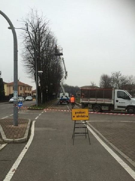 Treviglio: Al via le potature, interventi per 120 mila euro – TreviglioTV