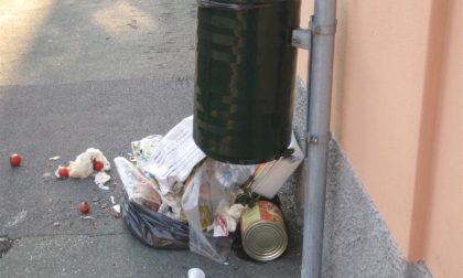 Treviglio : Abbandono rifiuti, quasi 8mila euro di sanzioni. Linea dura del Comune