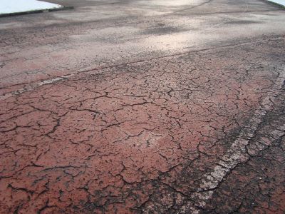 Abbandono e degrado al Tiro, situazione sempre più insostenibile – TreviglioTV