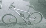Ruba una bici a Caravaggio, preso dalla Polizia locale di Treviglio - TreviglioTV