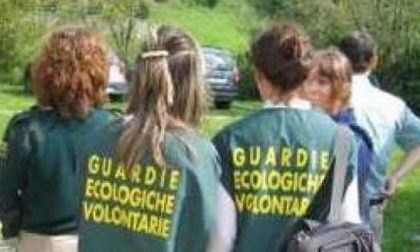 Treviglio: le Guardie Ecologiche Volontarie tuteleranno il decoro urbano - TreviglioTV