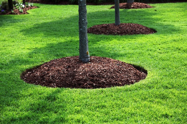 Treviglio: per la manutenzione dei prati arriva il “Mulching” – TreviglioTV
