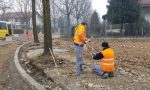 Treviglio: Furto nel cantiere comunale, rubata livella da 5mila euro - TreviglioTV