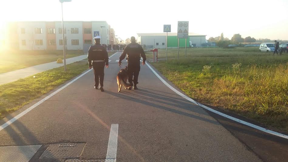 Ritrovato il 15enne di Agnadello scomparso da casa