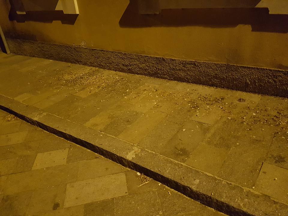 Un paese allo sbando: così la minoranza vede Pumenengo