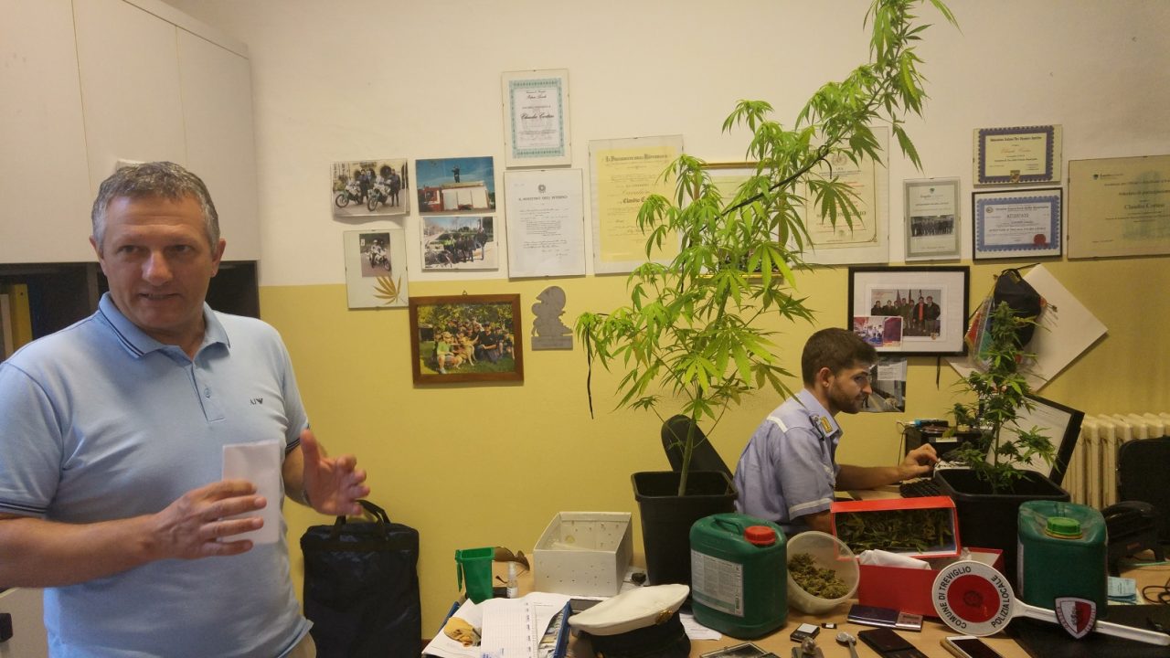 Marijuana sul balcone, arrestato artigiano trevigliese 41enne