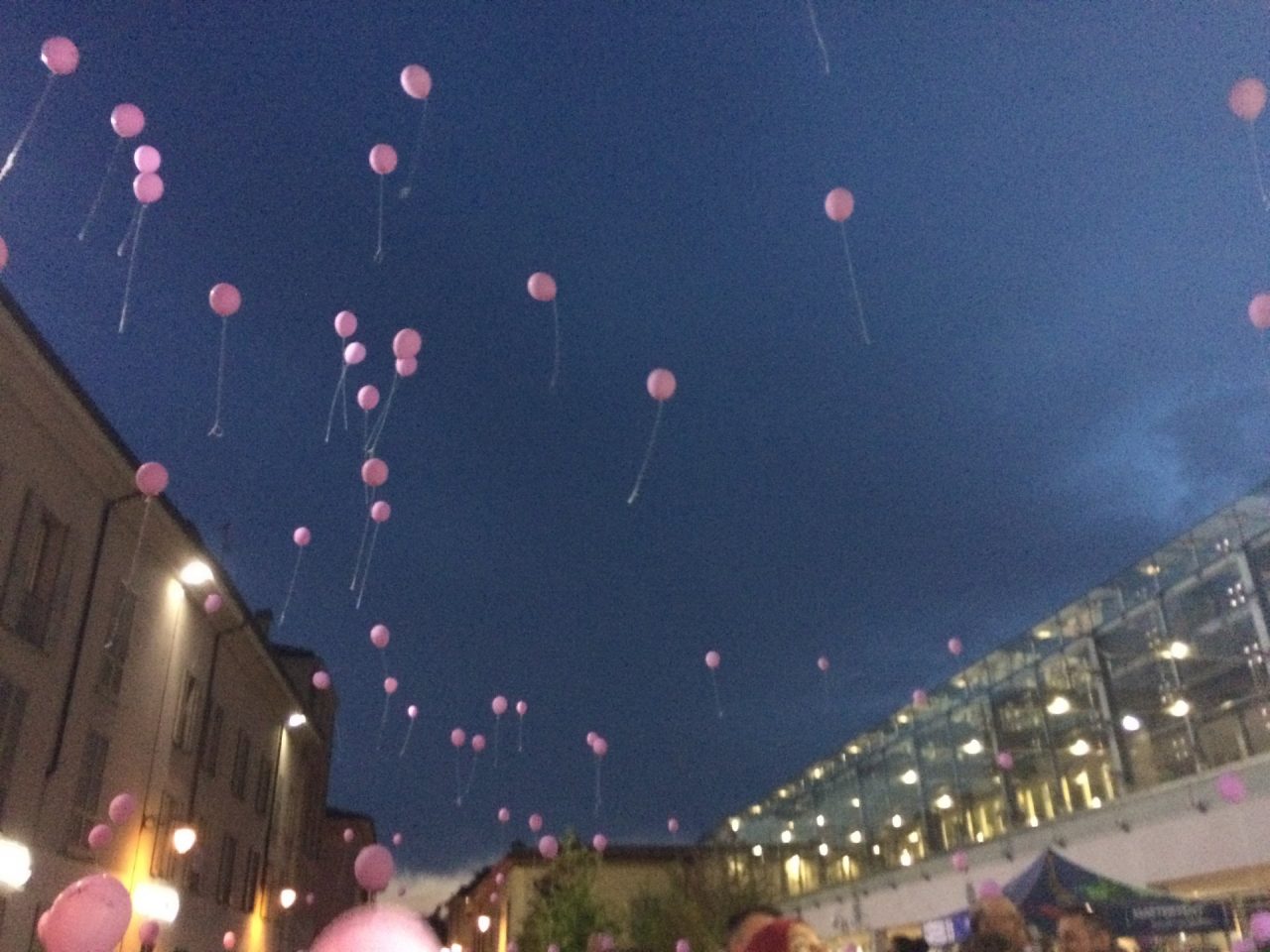 Treviglio in rosa 2019, in marcia contro la violenza sulle donne