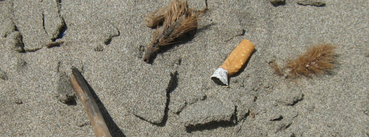 Vietare il fumo in spiaggia: il Codacons chiede una legge