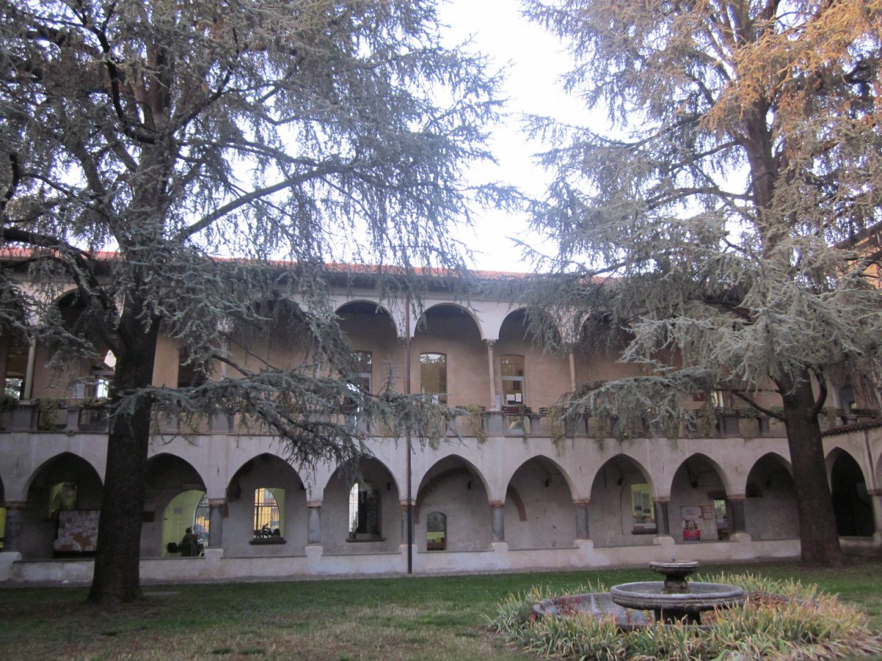 Biblioteca e aula studio riaprono (su prenotazione). Ecco come fare
