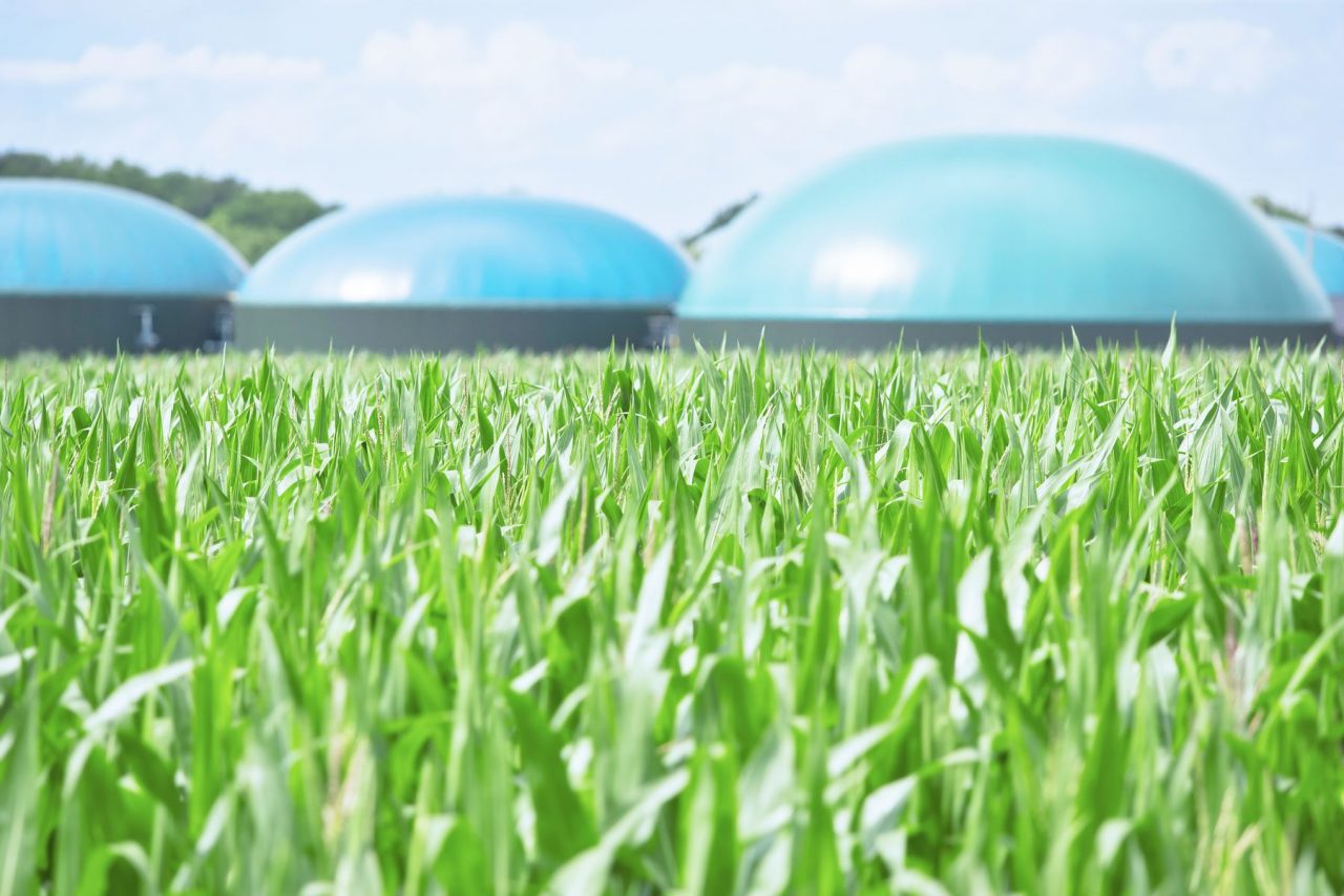 Il decreto Milleproroghe dà l’ok a biogas e digestato, Coldiretti esulta
