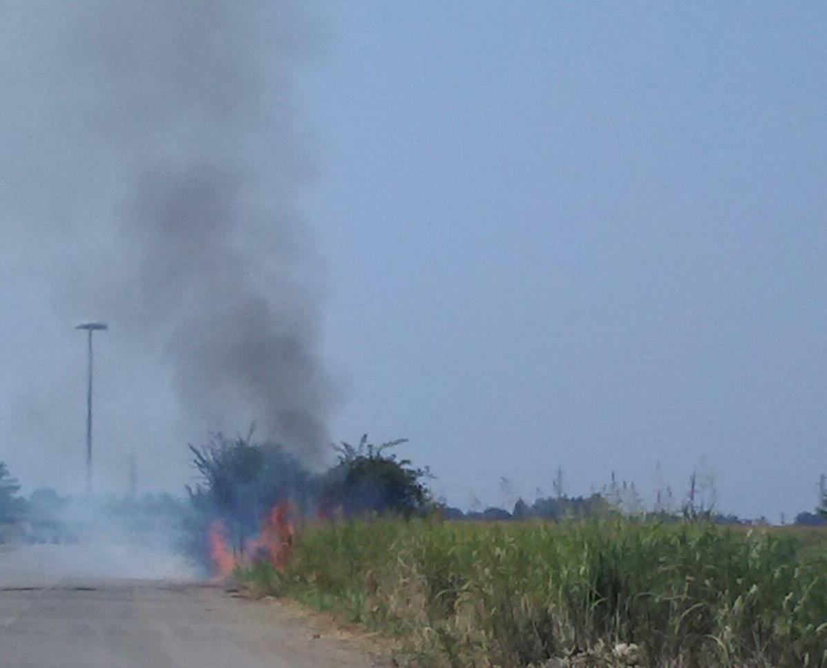 Incendio nella campagna. Tre focolai accesi