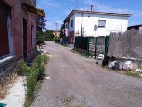 Via Pellico invasa da topi e buche. La residente: “Non ne posso più”