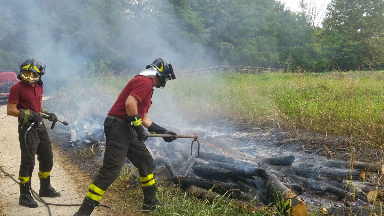 Incendio al bosco del castagno, salvato dai vigili del fuoco