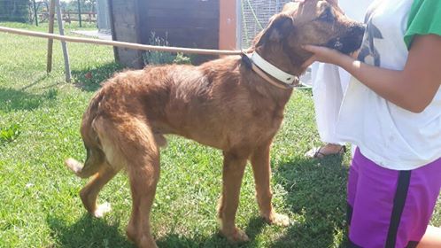 Gianni ha finalmente trovato casa