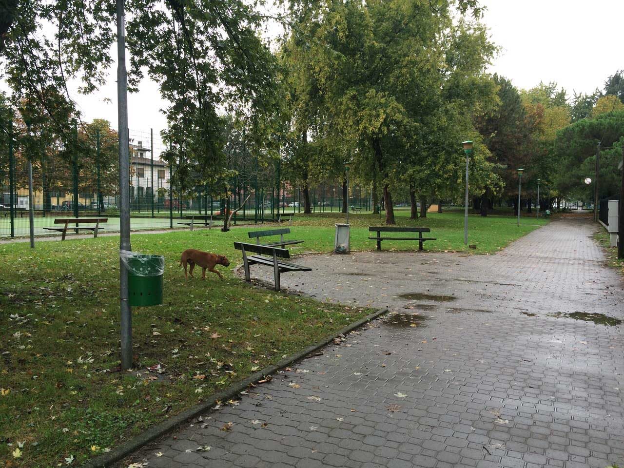 “Dove sono finite le targhe di acciaio sotto gli alberi del parco?”
