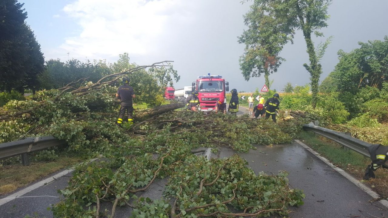 Bomba d’acqua a Roncadello di Dovera, sradicati i tigli e abbattuto un palo dell’elettricità
