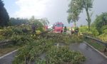 Bomba d'acqua a Roncadello di Dovera, sradicati i tigli e abbattuto un palo dell'elettricità