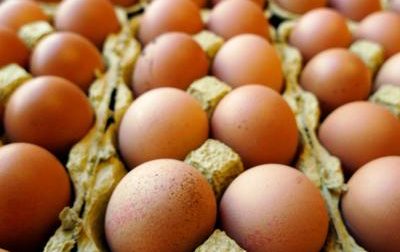 Uova contaminate: "Controlli capillari, non arriveranno a tavola"