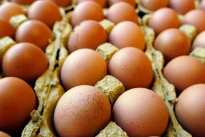 Uova contaminate: “Controlli capillari, non arriveranno a tavola”