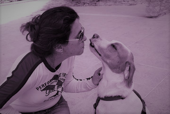 Cani e gatti, parla l’esperta Sabrina Giussani