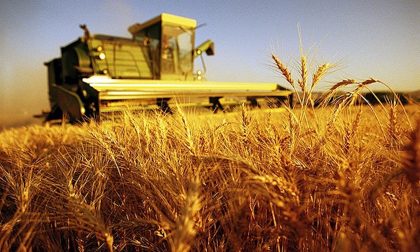 Il G7 dell'agricoltura è alle porte: Treviglio e la Bassa grandi assenti