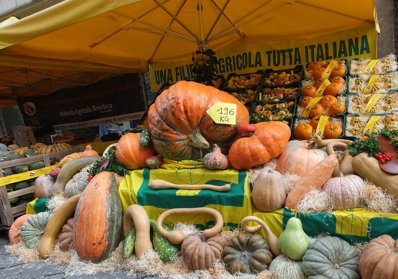Domenica a Crema il “Festival della zucca”
